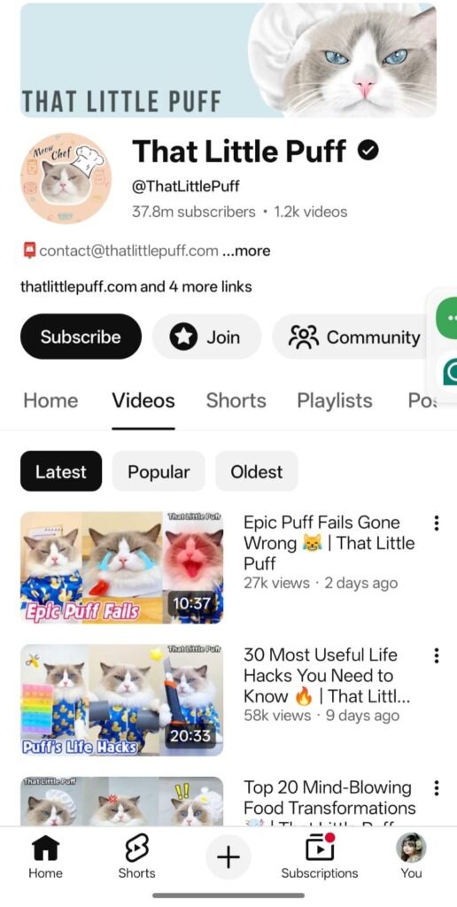 Best YouTube Channel Ideas for Girls Without Showing Face